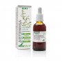 Artemisa Extracto S. XXI Soria Natural 50ml